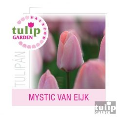 Mystic Van Eijk