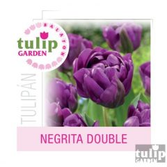 Negrita Double