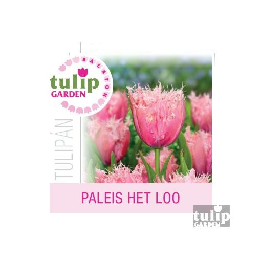 Paleis Het Loo