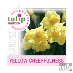  Yellow Cheerfulness